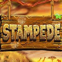 Stampede 